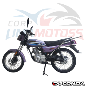 horse 150