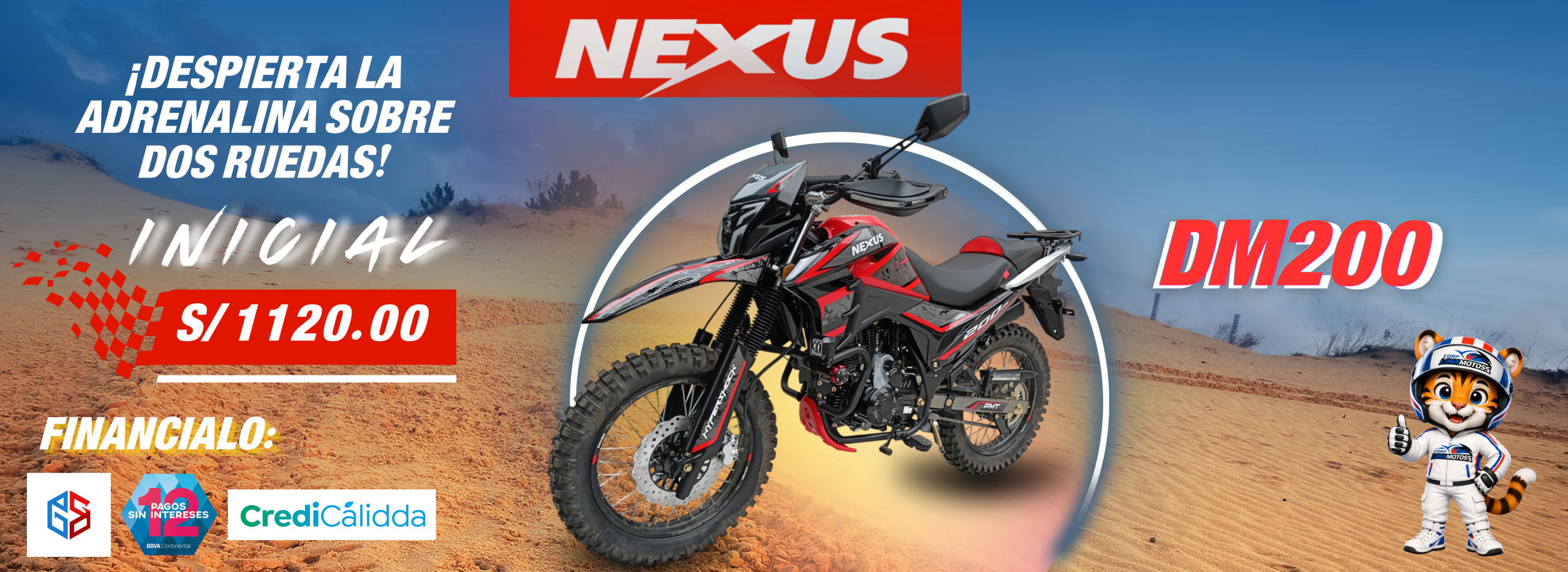 nexus 200 dm (1)