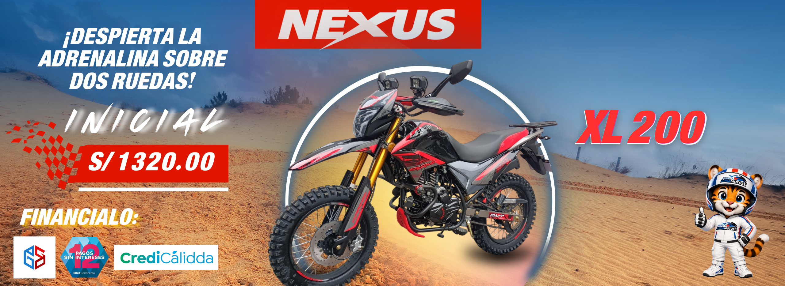 nexus 200 dm (2)